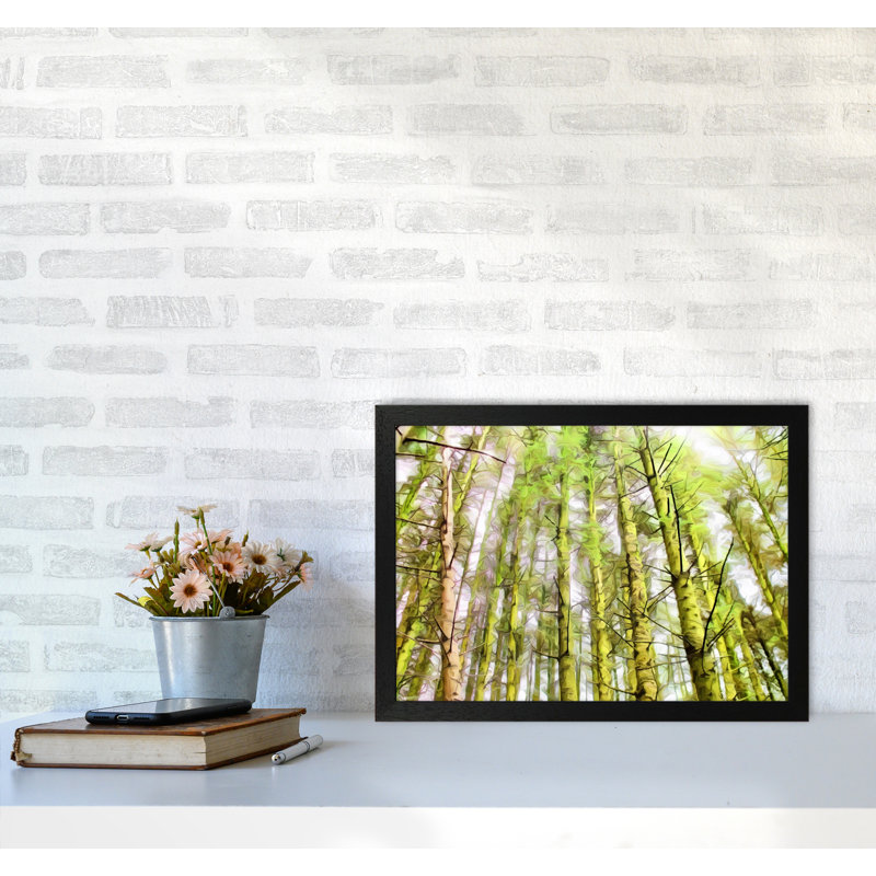 Woodland - Print on Canvas, 34cm H x 46cm W x 3cm D, Black Framed