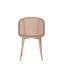Ensemble de 2 chaises d'appoint en rotin avec siège en cuir d'unité centrale Bauhaus