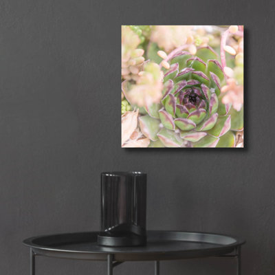 «Succulents 08» par Lightbox Journal
