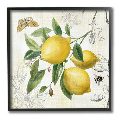 «Vintage Lemon Blossoms», art de la giclée encadrée par Nan