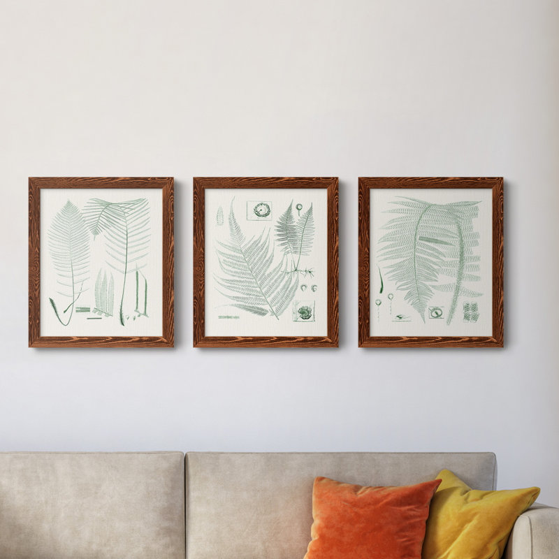 Verdure Ferns VII - ensemble de 3 peintures sur toile encadrées, Érable, H 24 po x l 36 po x P 1,5 po