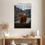 Scott Brown Highland Cow-106962346