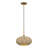 Aliane 1 Light Antique Gold Leaf Pendant