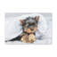 No Frame Print on Canvas-895868886