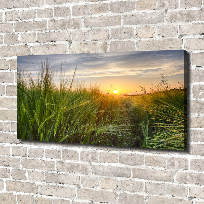 Wheat Field - Wrapped Canvas Print