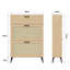 12 Pair Shoe Storage Cabinet