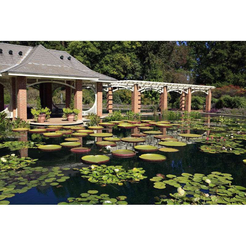 Huntsville Botanical Gardens Water Garden - Wrapped Canvas Print, 20cm H x 30cm W x 3.8cm D