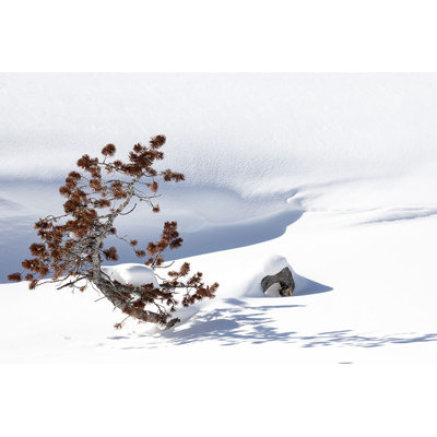 " Lone Tree Hill " by Curt & Stacy Howell