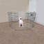 Stylos d'exercice Lucky Dog-11941707