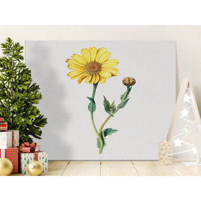 Ostrom Wrapped Canvas Print Set