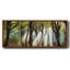 Majestic- Framed Canvas-1195221310