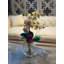 Orchid And Sedum Arrangement In Glass Vase