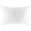 Housse de coussin décoratif décoratif pour chien 14 x 20 pouces