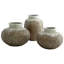 Acorn Planter-25159529