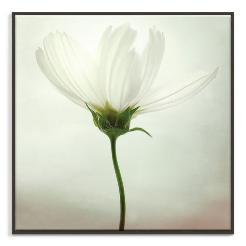 Print on Canvas, 61cm H x 61cm W, Black Floater Frame