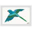 Karina ABC Bird - Painting-37772211