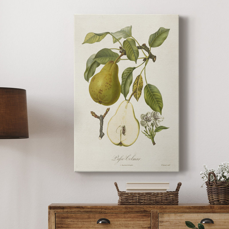 Vintage Pears II - impression sur toile tendue, H 18 po x l 12 po x P 1 po