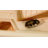 Carlaya Small Animal Cage,wood-1455656131