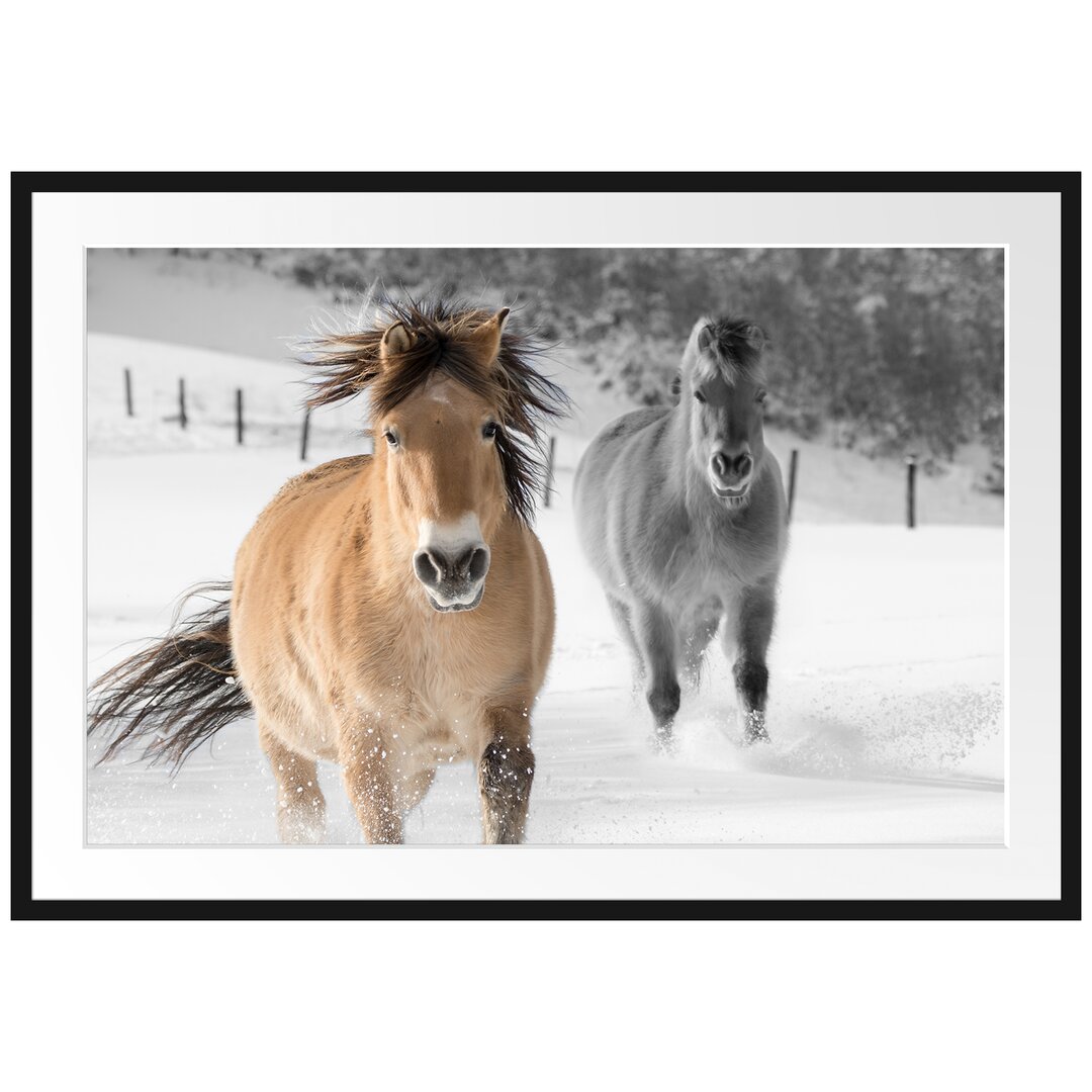 Gerahmtes Poster Zwei schöne Ponys im Schnee