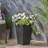 Jude Planter