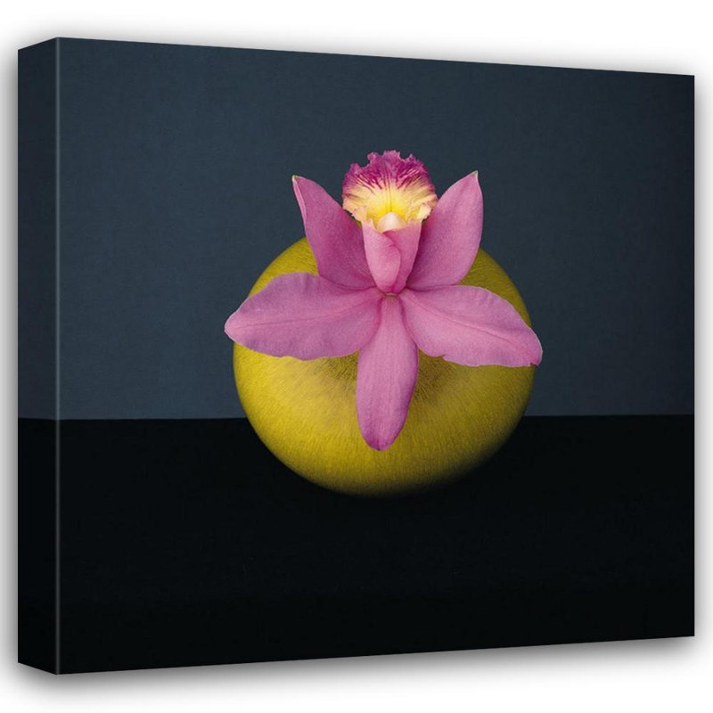 Orchid, 1987, 15" H x 15" W