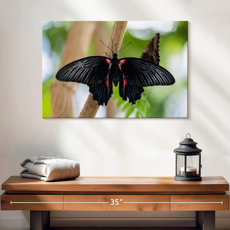 Brampt Swallowtail Butterfly, 16" H x 24" W