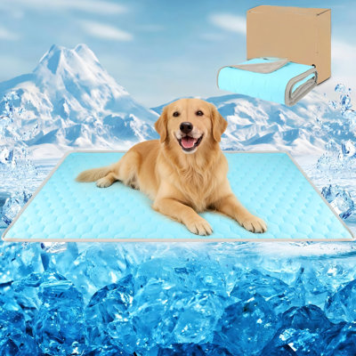 Pet Bed