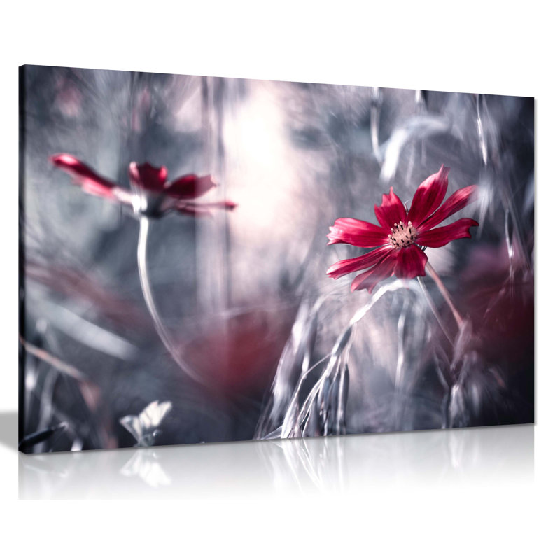 Daisy Flower Reflection - Wrapped Canvas Print, 61cm H x 91cm W