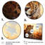 Animaux orange léopard sur fond orange-1134554957-1134554960