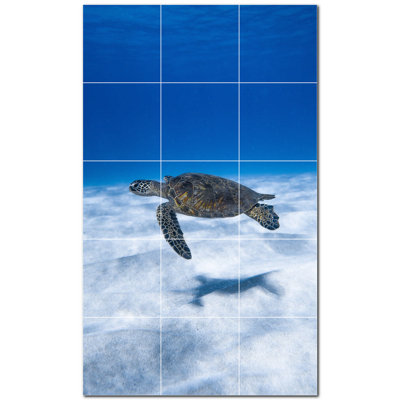 Tortue photo 6 x 6