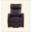 Synthetic Leather Power Motion Recliner W/Lift