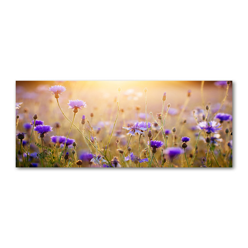 Field Flowers - Wrapped Canvas Print