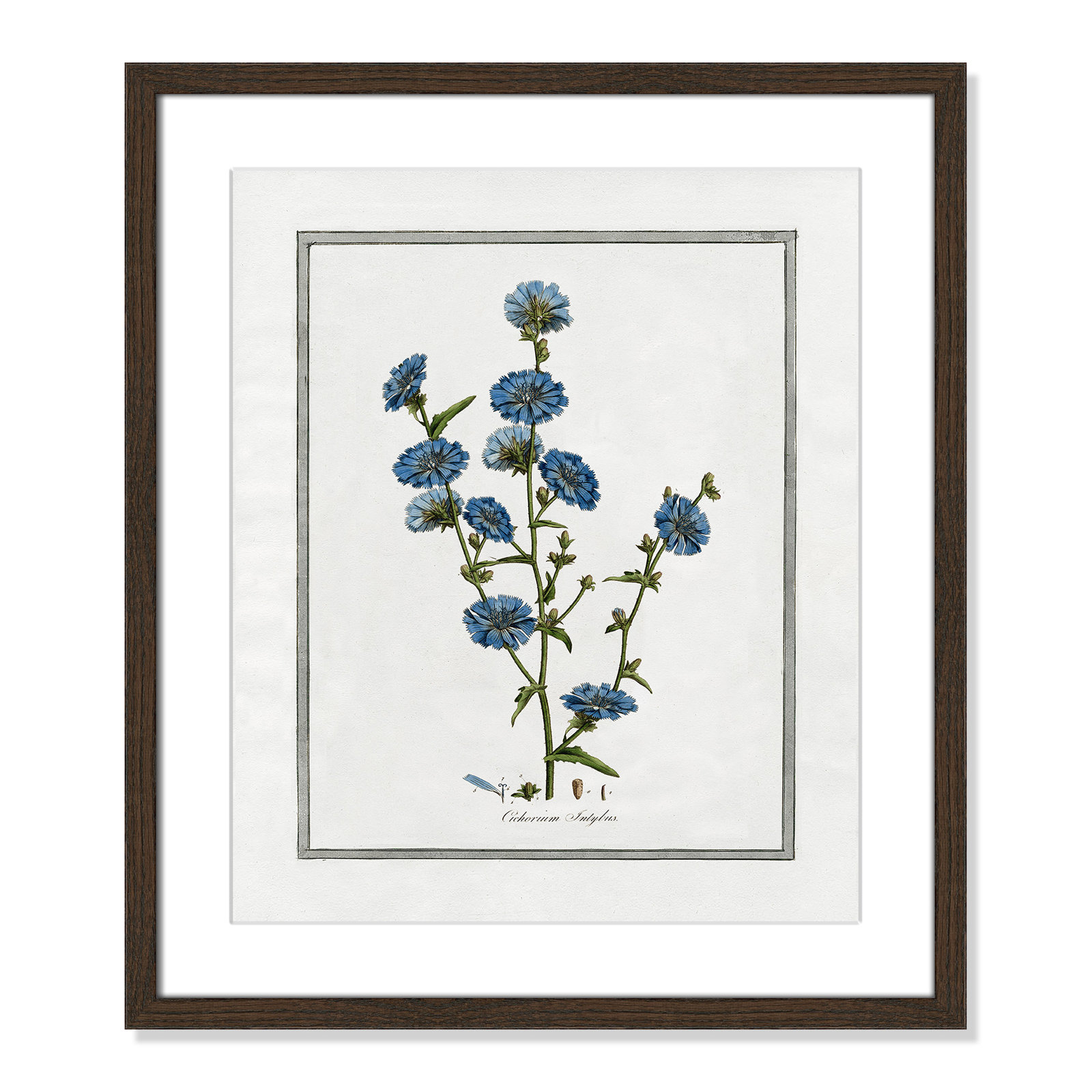 Colombe "Soft Botanical I" Print, 16" W x 19" H, Walnut Framed