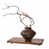 Lavage de terre antique n'est pas disponible