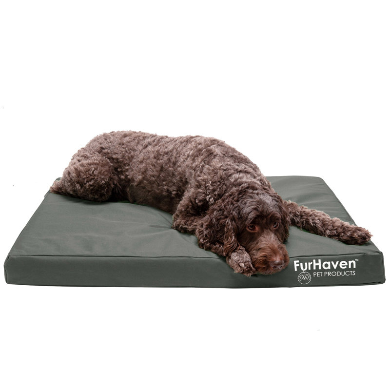 Oxford Indoor/Outdoor Deluxe Orthopedic Pet Bed, Stone Gray , Large (36" W x 27" D x 3" H), Orthopedic Foam