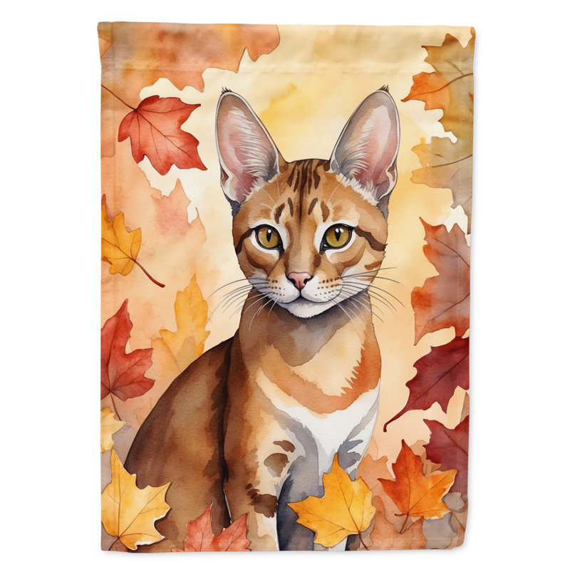 Chat en feuilles d'automne, Chausie