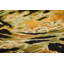 One-of-a-Kind 6'8”x9'4” Hand Knotted Area Rug
