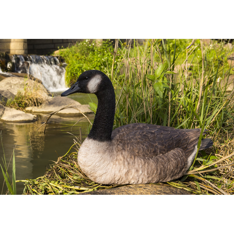 Garden Statues Sitting Canadian Goose Garden Statue