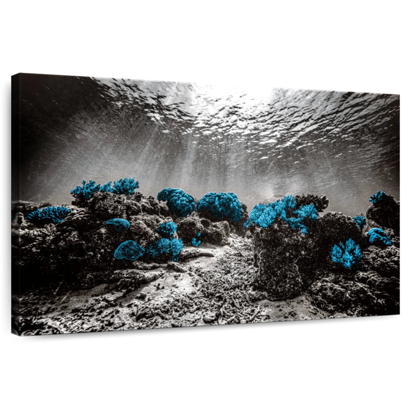 Indonesian Coral Reefs Pop, H 8 po x l 12 po