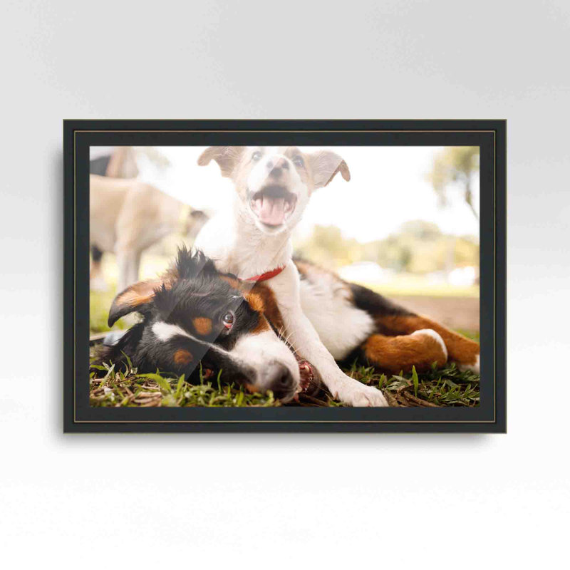 Cadre photo Emmielou, Noir / or, L 18 po x H 26 po