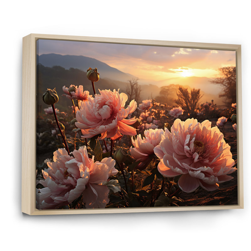 Champ de pivoines radieuses au lever du soleil, Cadre flottant naturel, H 34 po x l 44 po x P 1,5 po