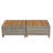 Fulvia Patio Chaise Lounge Set-679100542