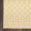 Tapis intérieur / extérieur Robbs-847905140-817427374