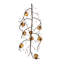Curiel 8 - Light Chandelier