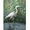 «Majestic Heron I» par Cloverfield & Co., reproduction sur toile tendue