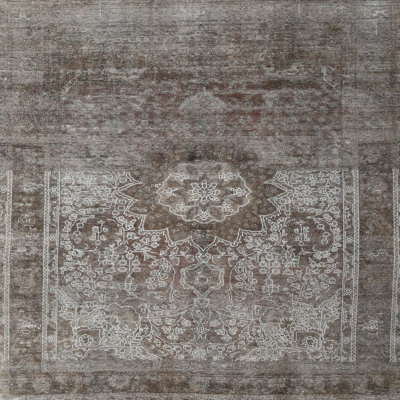 Oriental Indoor Rug