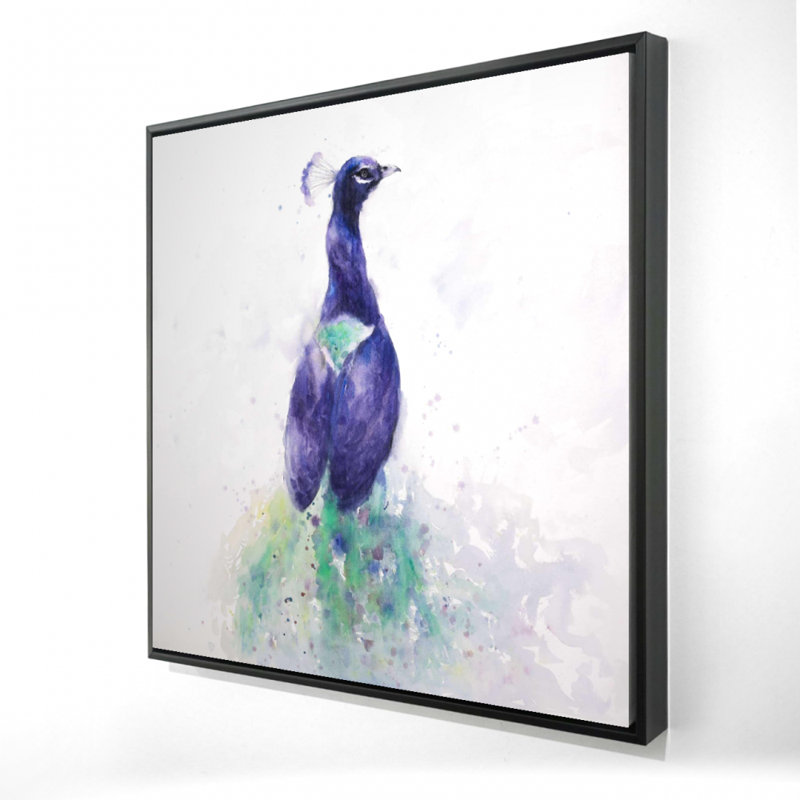 " Graceful Peacock "