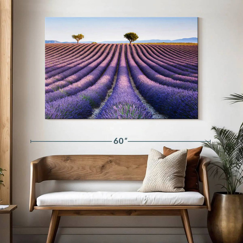 Alvord, champ de lavande, Provence, H 34 po x l 51 po