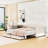Upholstered Daybed with 2 Storage Drawers,  LED Lights and Trundle-1702059051