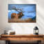 Majestic bull wapiti-107700328